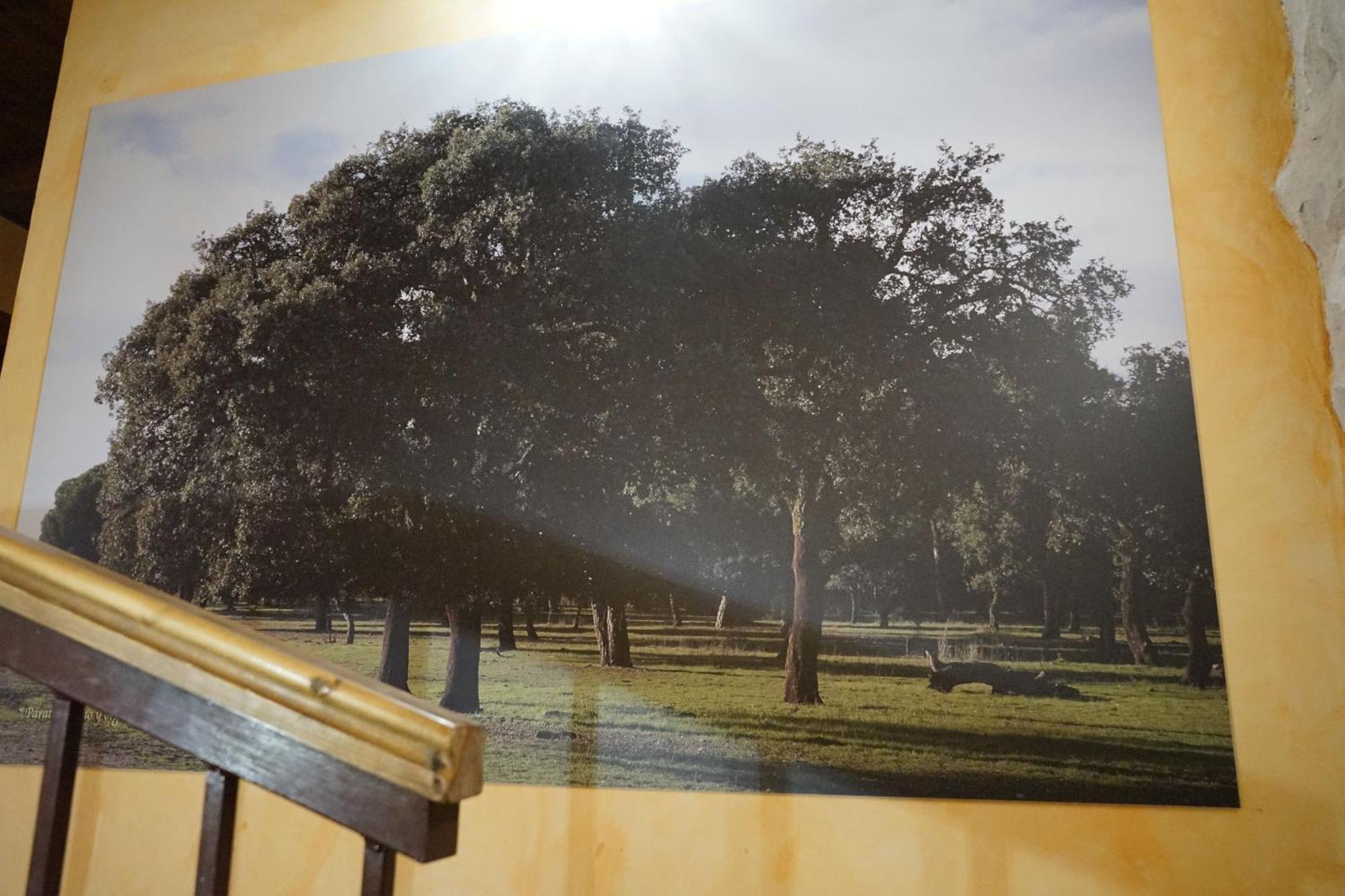 Casa Rural La Abuela Marcelina Foncastin Dış mekan fotoğraf